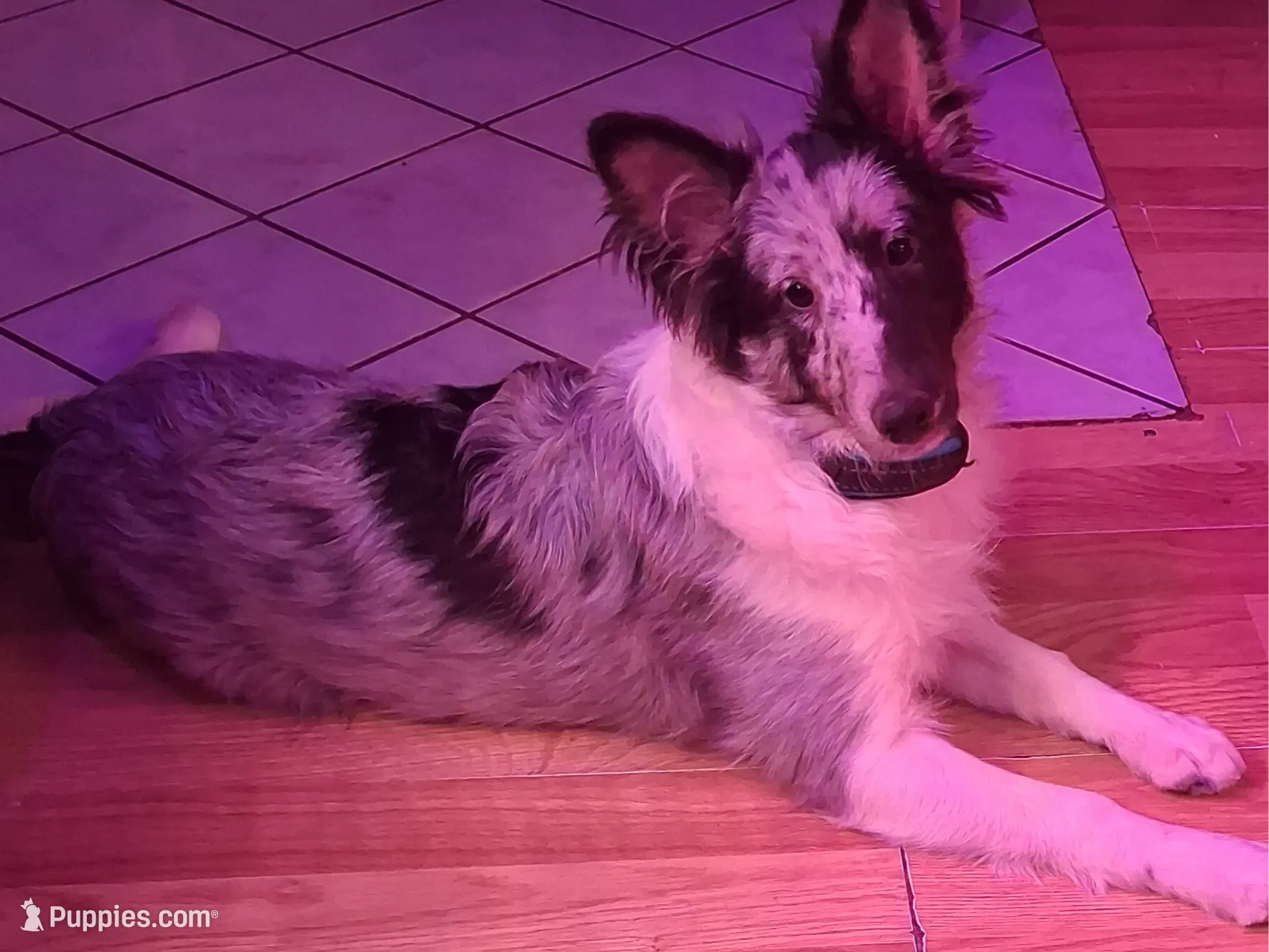 processed/88fd669b-d21a-4138-971c-3f2d242fb354/listing/2f304f16-3940-47c9-ba36-92fcfd6a0ca3/97298884-902a-44d8-9c6a-0c12dffaafc8