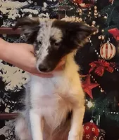 processed/88fd669b-d21a-4138-971c-3f2d242fb354/listing/2f304f16-3940-47c9-ba36-92fcfd6a0ca3/993ea22b-abe5-4f8f-be5e-bbad543f77ac