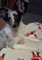 processed/88fd669b-d21a-4138-971c-3f2d242fb354/listing/2f304f16-3940-47c9-ba36-92fcfd6a0ca3/a996716c-803e-46a8-a88d-147635d0be83