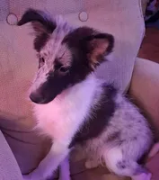 processed/88fd669b-d21a-4138-971c-3f2d242fb354/listing/2f304f16-3940-47c9-ba36-92fcfd6a0ca3/e632613c-0486-44dd-8d21-471c0a3d6a04