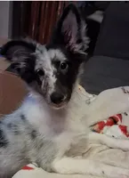 processed/88fd669b-d21a-4138-971c-3f2d242fb354/listing/2f304f16-3940-47c9-ba36-92fcfd6a0ca3/f1fb5ac3-91d4-4535-9a39-e3629686da8c