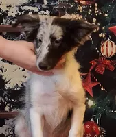 processed/88fd669b-d21a-4138-971c-3f2d242fb354/listing/2f304f16-3940-47c9-ba36-92fcfd6a0ca3/f5fe4d1f-8e4b-46e3-9d73-bea5d0c6b8d7