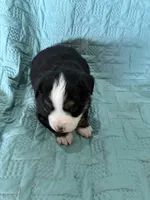 processed/89061be5-7d0b-4051-970a-fe30261be75d/listing/aab6a942-bc54-45fb-82cb-8f155896788b/8bd78898-aeff-4a6f-9373-16f31d0904be