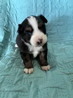 processed/89061be5-7d0b-4051-970a-fe30261be75d/listing/aab6a942-bc54-45fb-82cb-8f155896788b/a32e4f19-c26c-4229-8a54-c277396f326d