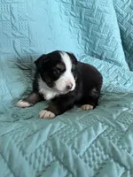 processed/89061be5-7d0b-4051-970a-fe30261be75d/listing/aab6a942-bc54-45fb-82cb-8f155896788b/c8feaa11-7edc-49f4-98fd-64122f9b46e9