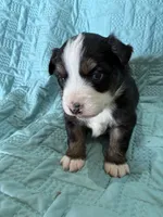 processed/89061be5-7d0b-4051-970a-fe30261be75d/listing/aab6a942-bc54-45fb-82cb-8f155896788b/d9d90c51-6cdc-4f8b-9010-6cce6605cb92