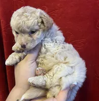 processed/890de643-69b7-4069-8d26-e0d420039b98/listing/82feb90c-94f9-4e41-ade6-5ecbab6255ac/d98e2ece-73be-40e2-aaca-9893e60efaaf