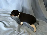 processed/890df1e9-fb4a-4cb5-be78-dbda30d76b26/listing/376a88f4-1851-4d18-94a8-84f6bf729bf6/0ebb9eba-4ee2-46f5-9b70-4b1dcdbe0540