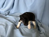 processed/890df1e9-fb4a-4cb5-be78-dbda30d76b26/listing/376a88f4-1851-4d18-94a8-84f6bf729bf6/e0a2d018-0adb-4ba2-883e-6563cccf1227