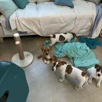 processed/8912ec60-06c9-45b2-92fd-a6c6c0e41b78/facility/64da19dc-884d-43c5-856e-ba0a6605ca16