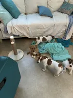 processed/8912ec60-06c9-45b2-92fd-a6c6c0e41b78/facility/64da19dc-884d-43c5-856e-ba0a6605ca16