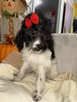 processed/89278bef-2797-409d-8a18-d67e3351f086/listing/219254f5-9ba0-4544-971e-45ec4be8a27c/30c89b62-d67d-4a73-99d3-9b51f58a7b7c