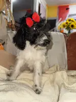 processed/89278bef-2797-409d-8a18-d67e3351f086/listing/219254f5-9ba0-4544-971e-45ec4be8a27c/c58ccfe3-1e91-4074-9172-736ddaa1814a