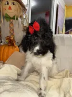 processed/89278bef-2797-409d-8a18-d67e3351f086/listing/219254f5-9ba0-4544-971e-45ec4be8a27c/dcbf3ae4-dddd-4b42-b32f-12b642909b39