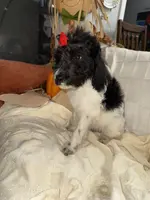 processed/89278bef-2797-409d-8a18-d67e3351f086/listing/219254f5-9ba0-4544-971e-45ec4be8a27c/f9280d69-27bb-415c-91ce-f8a3cb75cc6e