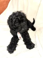 processed/89278bef-2797-409d-8a18-d67e3351f086/listing/3441f0ed-3138-4091-a541-463efa7e16a0/2bbc6a06-9886-41ee-9299-fe6ca274ffb1