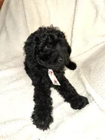 processed/89278bef-2797-409d-8a18-d67e3351f086/listing/3441f0ed-3138-4091-a541-463efa7e16a0/2d7fe452-b53e-46ba-90e0-beda2871345f