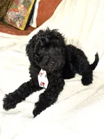 processed/89278bef-2797-409d-8a18-d67e3351f086/listing/3441f0ed-3138-4091-a541-463efa7e16a0/5085adc3-a23f-4987-9062-b3a15ad914f5