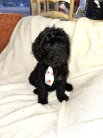 processed/89278bef-2797-409d-8a18-d67e3351f086/listing/3441f0ed-3138-4091-a541-463efa7e16a0/69e14d2a-ed50-4072-aeef-920e091aff43