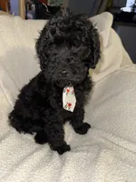 processed/89278bef-2797-409d-8a18-d67e3351f086/listing/3441f0ed-3138-4091-a541-463efa7e16a0/ac8b732b-c0c8-4809-b524-1a9db6fa7ff2