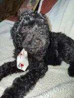 processed/89278bef-2797-409d-8a18-d67e3351f086/listing/3441f0ed-3138-4091-a541-463efa7e16a0/c2271dbd-2219-43b4-9a27-83093da25ee2