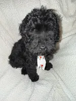 processed/89278bef-2797-409d-8a18-d67e3351f086/listing/3441f0ed-3138-4091-a541-463efa7e16a0/ddde77a7-58a0-4adb-8b22-bdf23ae86fbf