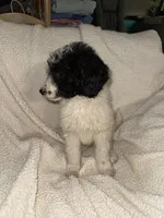 processed/89278bef-2797-409d-8a18-d67e3351f086/listing/7efcf7b2-eea1-4c7c-a861-37cdbe11feef/5dafdf44-3aa3-4fbf-9745-d53a18644a2f