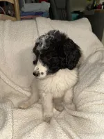 processed/89278bef-2797-409d-8a18-d67e3351f086/listing/7efcf7b2-eea1-4c7c-a861-37cdbe11feef/cb24e5a9-6ef1-4a75-9a83-693cd6edf872