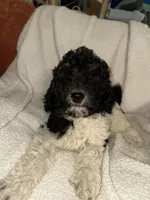 processed/89278bef-2797-409d-8a18-d67e3351f086/listing/ea0435c4-dfe1-4fe8-89b3-165ec562b0ed/08aeee7e-4397-439d-bce6-4a3a6811c739