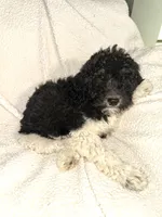 processed/89278bef-2797-409d-8a18-d67e3351f086/listing/ea0435c4-dfe1-4fe8-89b3-165ec562b0ed/5c0197fa-16e5-479b-9811-378d0bb8224a