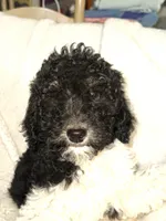 processed/89278bef-2797-409d-8a18-d67e3351f086/listing/ea0435c4-dfe1-4fe8-89b3-165ec562b0ed/94d70020-683c-4215-9362-e98e16d81644