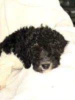 processed/89278bef-2797-409d-8a18-d67e3351f086/listing/ea0435c4-dfe1-4fe8-89b3-165ec562b0ed/98e5d7d0-ed38-44ec-938b-e5d16a1bf3ab