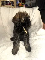 processed/89278bef-2797-409d-8a18-d67e3351f086/listing/fc3fc85a-bb4f-493a-8e38-d6f0f7c62cff/83954e76-e03f-4464-a275-1dc05b55701e