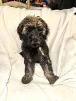 processed/89278bef-2797-409d-8a18-d67e3351f086/listing/fc3fc85a-bb4f-493a-8e38-d6f0f7c62cff/9cb07940-4e8c-4cb7-bf89-00ff944b6215