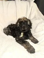 processed/89278bef-2797-409d-8a18-d67e3351f086/listing/fc3fc85a-bb4f-493a-8e38-d6f0f7c62cff/f101628d-c8b6-4d48-844a-7f59fb336c05