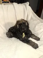 processed/89278bef-2797-409d-8a18-d67e3351f086/listing/fc3fc85a-bb4f-493a-8e38-d6f0f7c62cff/f93945a4-9e06-4d32-a43b-3f2014c8e6ce