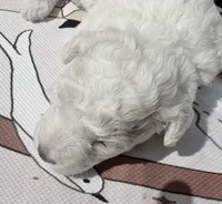 processed/893144b2-4ebd-4120-aa0c-978629ec15dd/listing/1682eebd-5d21-4280-868f-db0f2279c2b1/3582640f-e733-47d6-9785-dc7db61c0af9