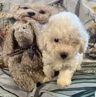 processed/893144b2-4ebd-4120-aa0c-978629ec15dd/listing/1682eebd-5d21-4280-868f-db0f2279c2b1/526ce65b-ce3d-48e4-a5f8-e980b5e1822f