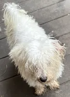 processed/893144b2-4ebd-4120-aa0c-978629ec15dd/listing/1682eebd-5d21-4280-868f-db0f2279c2b1/a0e305ea-16f8-4bbb-a030-865b3aeb63d4