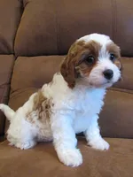 processed/893338be-d3c9-473e-8298-59acb422af87/listing/c80e1878-b3fa-4427-be0e-4be8cf3c2086/10a6b930-9826-4550-8473-e7688da216f6