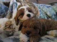 processed/893338be-d3c9-473e-8298-59acb422af87/listing/c80e1878-b3fa-4427-be0e-4be8cf3c2086/35fe84e6-060c-4942-83d7-526aa37451a6