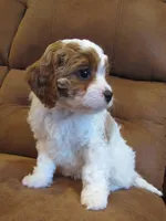 processed/893338be-d3c9-473e-8298-59acb422af87/listing/c80e1878-b3fa-4427-be0e-4be8cf3c2086/5674e5fb-0f84-4a67-a2ac-747860320e48