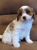 processed/893338be-d3c9-473e-8298-59acb422af87/listing/c80e1878-b3fa-4427-be0e-4be8cf3c2086/6c282a8d-1a84-4f18-a177-32c1f5be613e