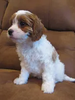 processed/893338be-d3c9-473e-8298-59acb422af87/listing/c80e1878-b3fa-4427-be0e-4be8cf3c2086/8bc0265f-a304-4b68-84a1-545682a5766e