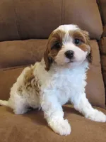 processed/893338be-d3c9-473e-8298-59acb422af87/listing/c80e1878-b3fa-4427-be0e-4be8cf3c2086/db2bef4d-d054-4067-bbe1-7fee80ab7d86