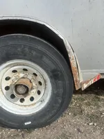 Callie, a female Miniature Australian Shepherd for sale in Auburn, NE – Photo 8 of 8