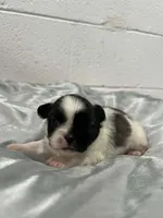 processed/893af0b5-a58c-454d-841c-155f0bee6a46/listing/467b4912-6afd-4bf0-9d01-63613c1eb8ae/5080bdeb-8d9a-483f-897a-948b8c50163c