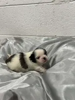 processed/893af0b5-a58c-454d-841c-155f0bee6a46/listing/df7ad644-55bf-4325-afc1-c620c59fd2e2/39e7b690-43ac-49e1-beca-bbc81fa94930