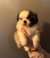 processed/893af0b5-a58c-454d-841c-155f0bee6a46/listing/df7ad644-55bf-4325-afc1-c620c59fd2e2/3a2e85c9-cf18-464f-af74-847746db9956