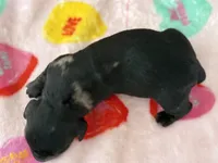 processed/893bedf4-e431-41f6-8dc5-d004872620f3/listing/11b11777-c517-4f50-8f8e-3d811ed02e1f/a56e0f04-fed8-4a0a-b0b4-c74935119ea9